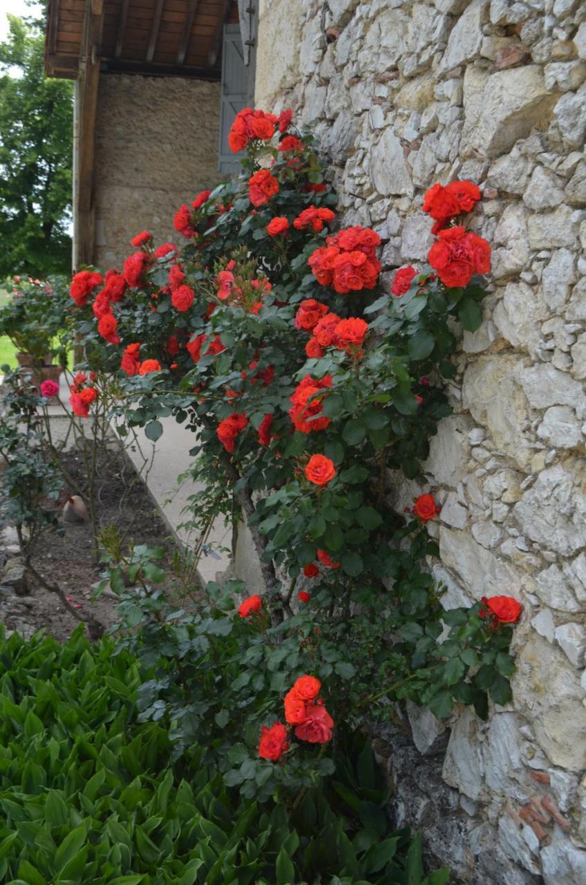 Le Poutic Gite Et Maison D'Hotes Creon-d'Armagnac ภายนอก รูปภาพ