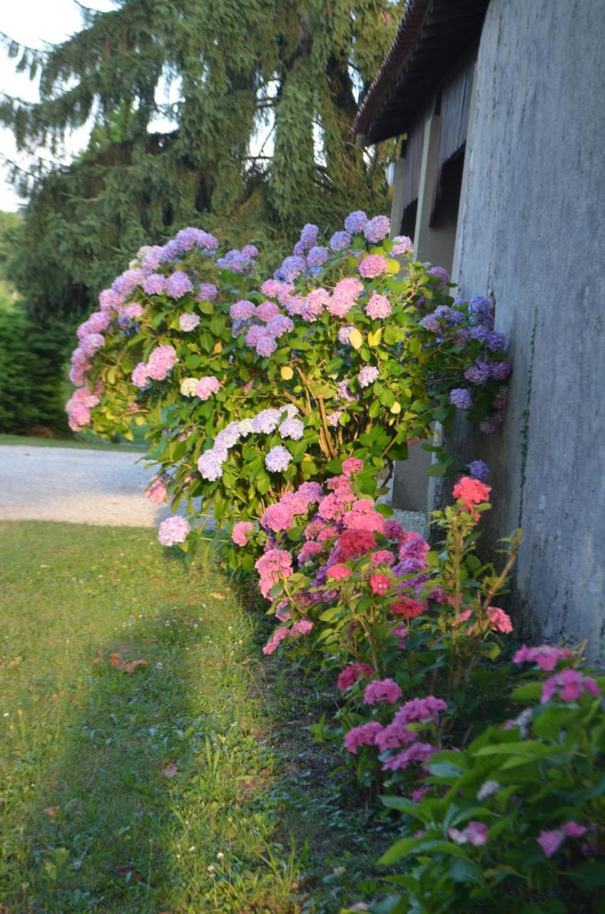 Le Poutic Gite Et Maison D'Hotes Creon-d'Armagnac ภายนอก รูปภาพ